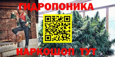МДПВ Сланцы